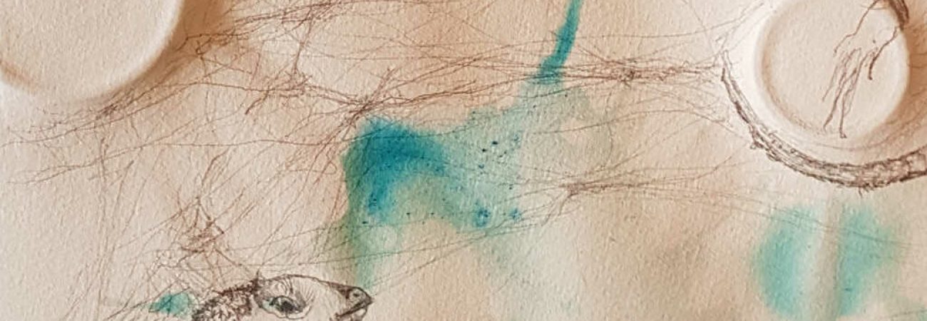 20210606_231534_compressed